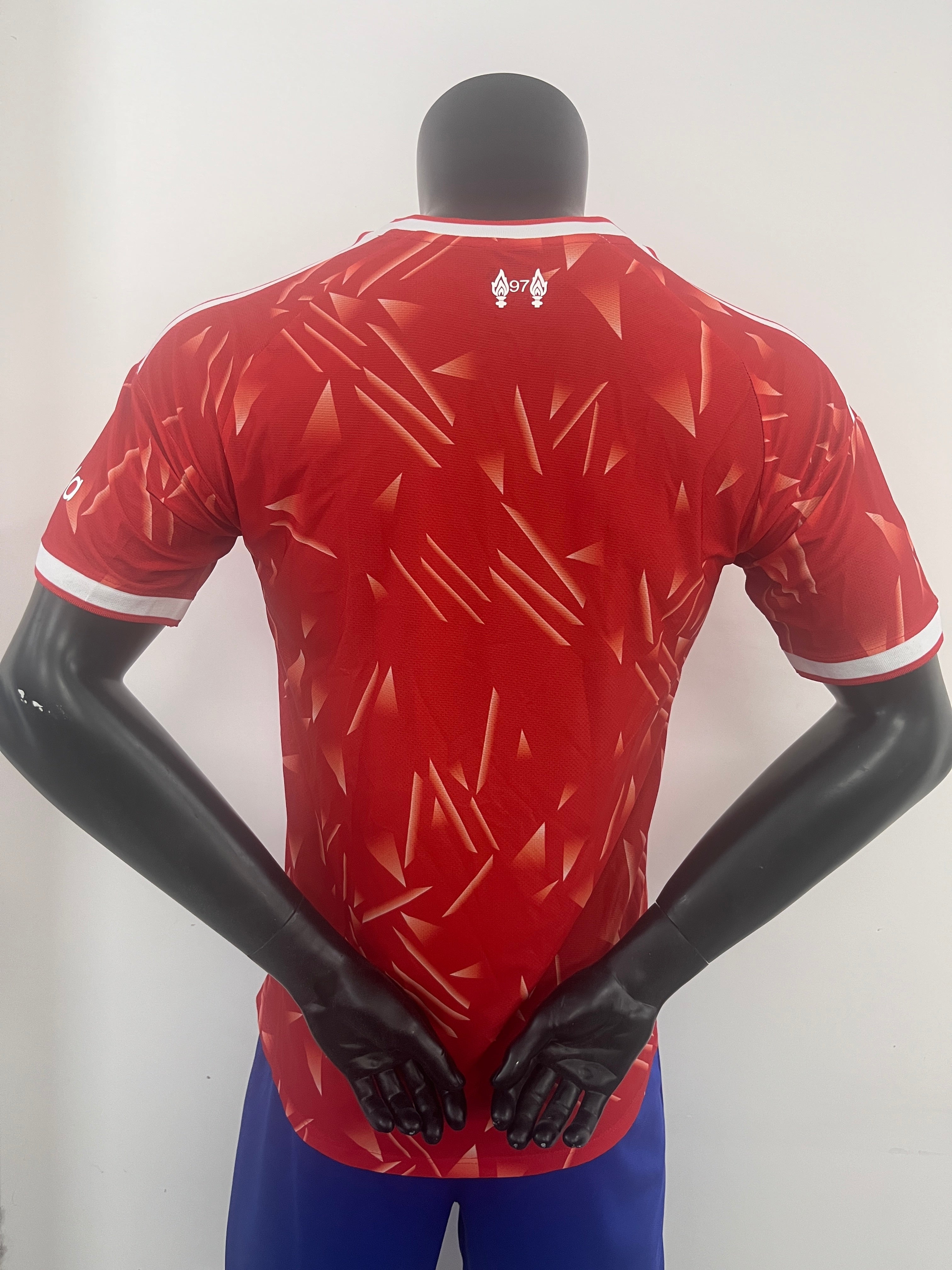LIVERPOOL DOMICIL 26/27